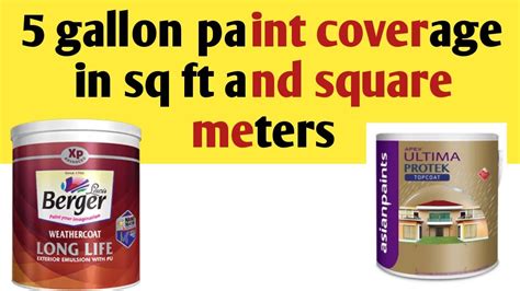 How Much Is a Gallon of Exterior Paint, and Why Does It Feel Like Buying a Small Island?